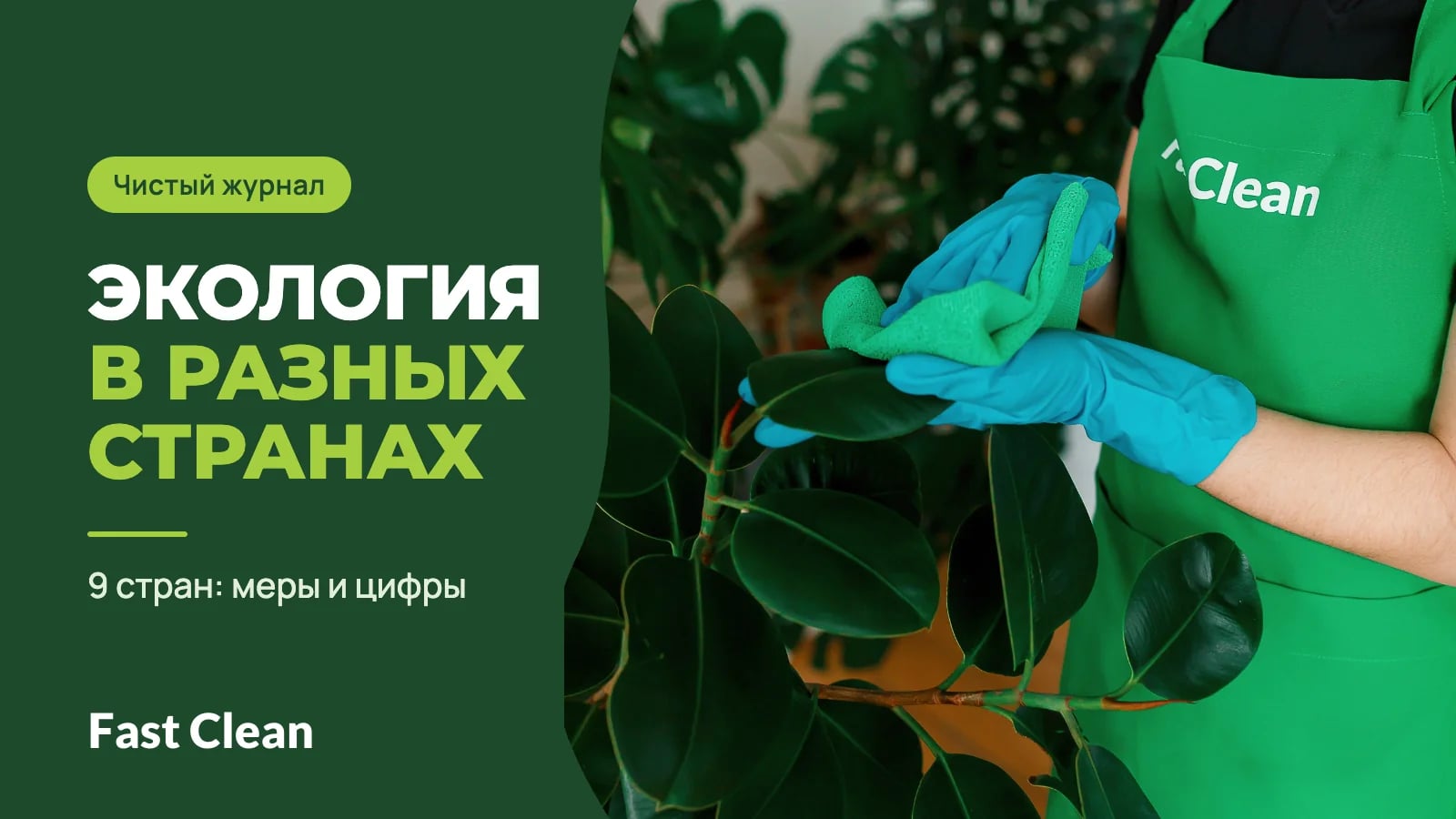 Сотрудница в зелёном фартуке Fast Clean протирает салфеткой листья комнатного растения, рядом надпись «Чистый журнал. Экология в разных странах» и подпись «9 стран: меры и цифры»