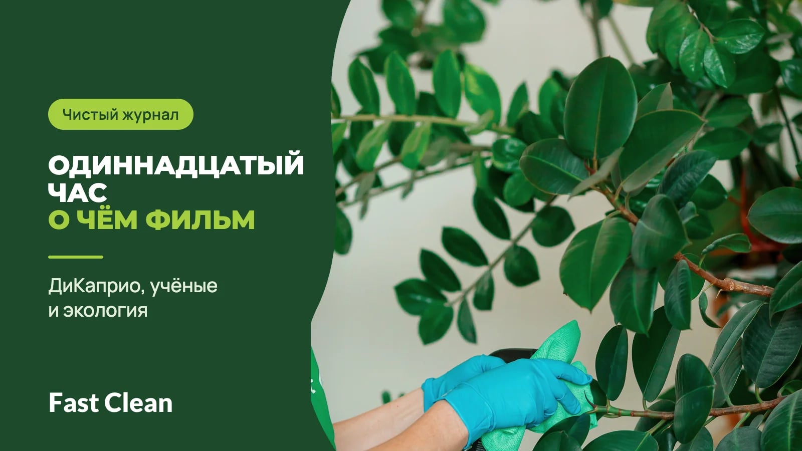 Рука в синей перчатке протирает салфеткой листья комнатного растения, рядом надпись «Чистый журнал. Одиннадцатый час — о чём фильм» и подпись «ДиКаприо, учёные и экология»